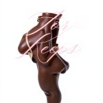 Kindle Store Black & African American Erotica Book-0